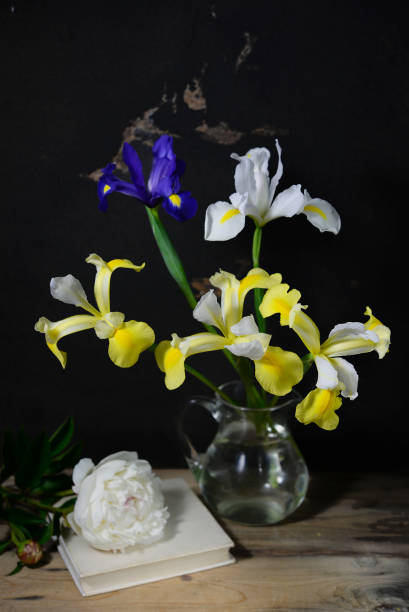 istock irises, peony ans white book still life 1072656308