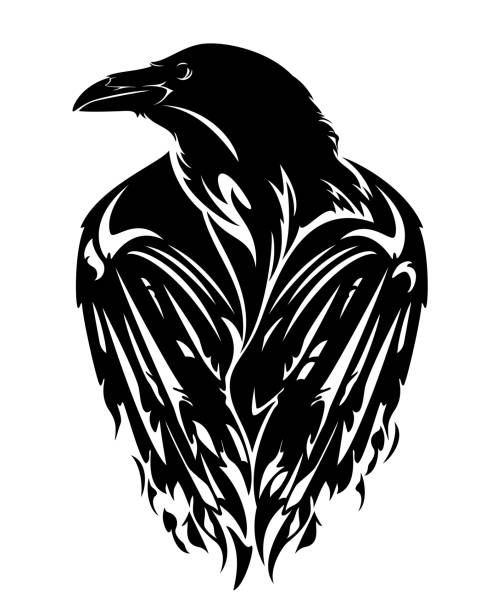 raven bird black vector design raven bird with closed wings - black and white vector outline Raven stock illustrations