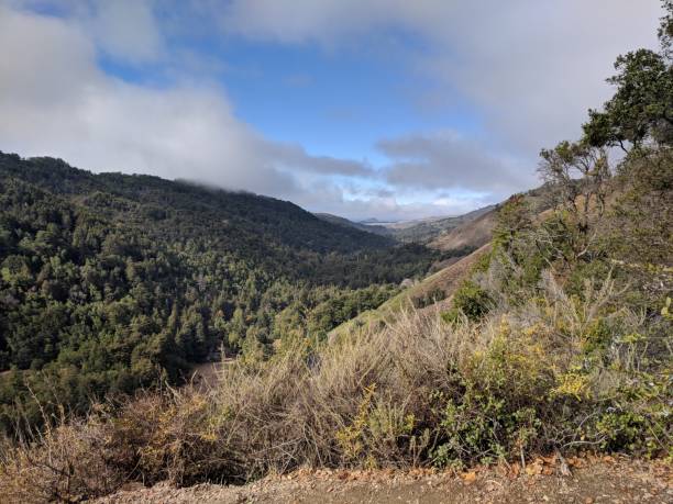 istock hiking valley of big sur 1072663610