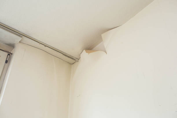 istock Old dirty peeling white wallpaper, home renovation 1072672832