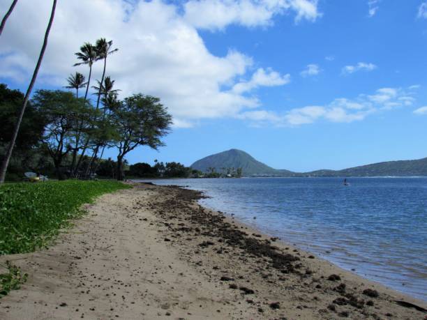 istock Kawaiku'i Beach Park, Oahu, Honolulu, HI 1072673214