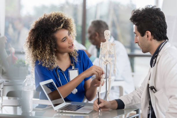 istock Healthcare professionals examine human skeleton model 1072675560