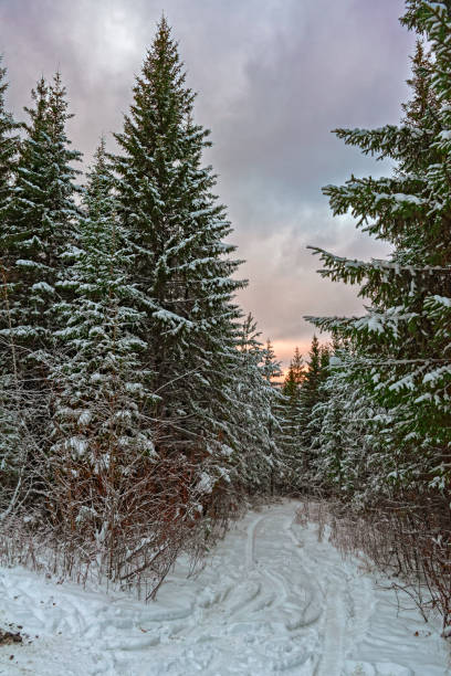 istock Beautiful winter landscape in the mountains. Sunset 1072677554