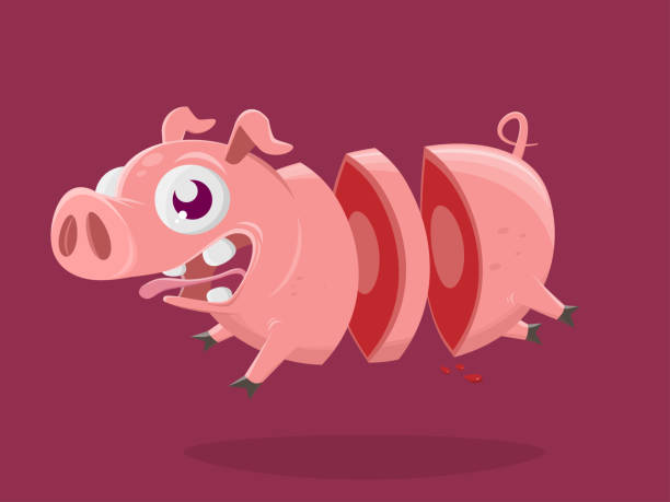 Funny Cartoon Illustration Of A Crazy Pig In Slices Stock