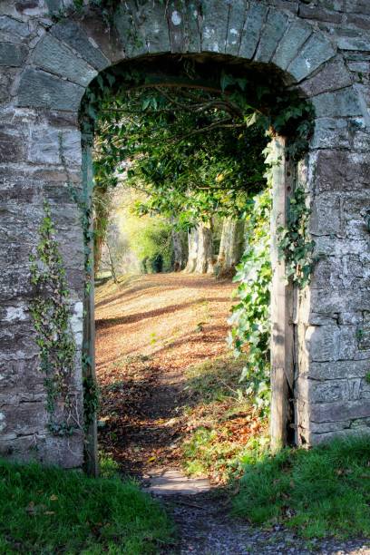 istock woodland walk seen through stone archway 1072689360
