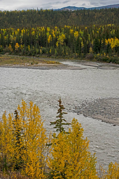 istock Vertical-A braided river bottom in fall colors in Anchorage, Alaska. 1072693608