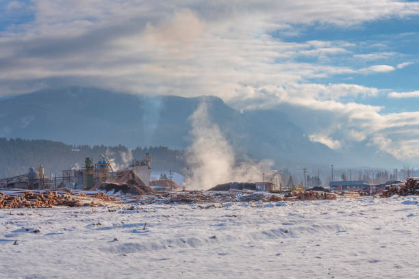 saw mill at Golden, British Columbia, Canada