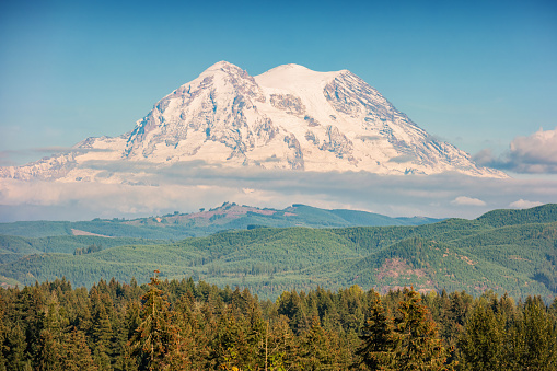 Stock photograph of snowcapped Mount Rainier in Washington, USA on a sunny day.