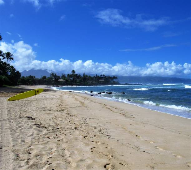 istock Chun's Reef Beach, North Shore Oahu, Haleiwa, HI 1072701682