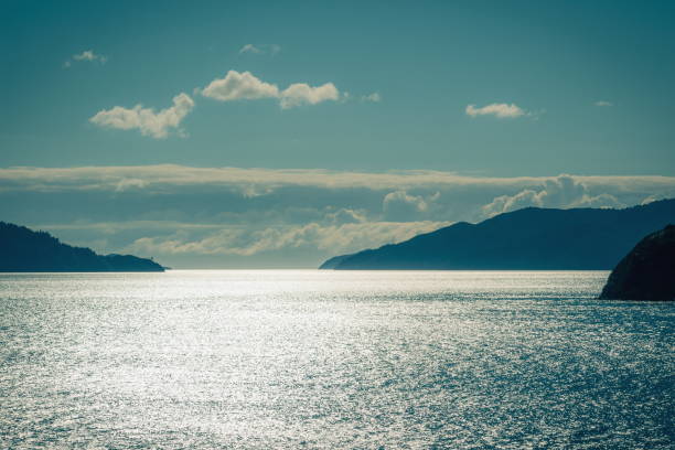 background image of glistening water on the sea between islands of the marlborough sounds in new zealand. - cook strait imagens e fotografias de stock