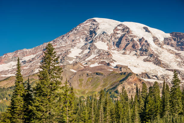 istock Mount Rainier in Washington USA 1072713426