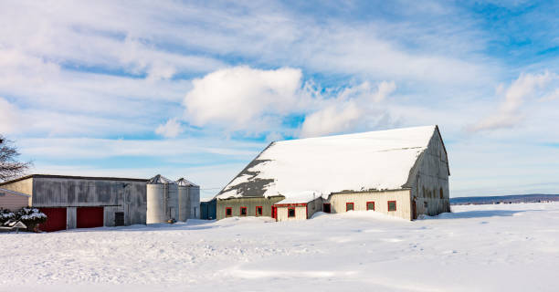 istock Barns of times gone past. 1072725202