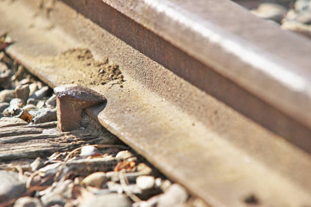 istock Rail of the railroad 1072740366