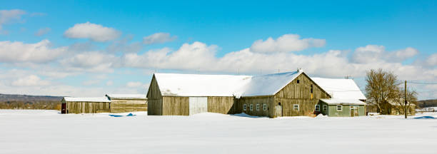 istock Barns of times gone past. 1072742484