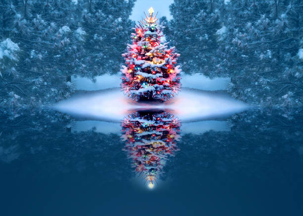 beautifully decorated christmas tree reflects magically in frozen lake - winter lake snow fog imagens e fotografias de stock