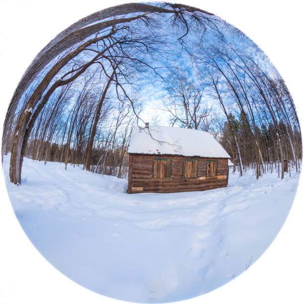 azúcar cabaña en un bosque boreal. - syrup maple tree cabin snow fotografías e imágenes de stock