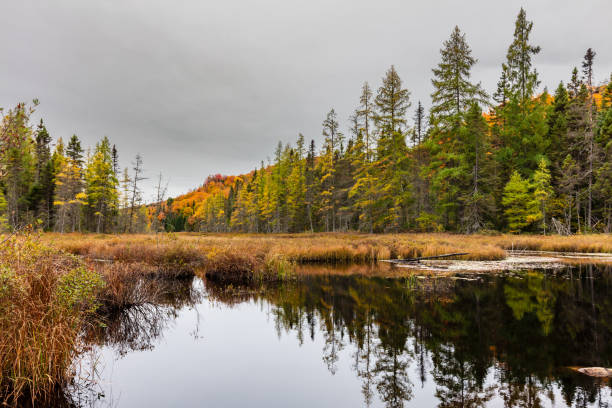 istock Falls vibrant colors, cottage country, Quebec, Canada. 1072748154