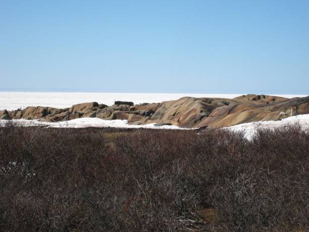 arctic canada - arctic canada landscape manitoba imagens e fotografias de stock