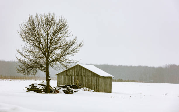 istock Barns of times gone past. 1072770462