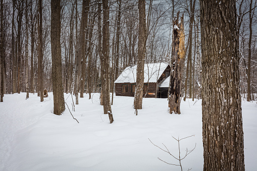 Sugar shack in a snow laden winter scene where they produce maple syrup in Quebec, Canada.