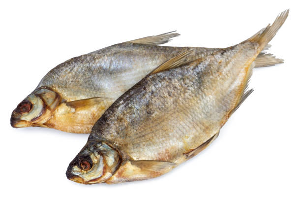 istock Dried salted fish isolated on white backdrop. 1072774066