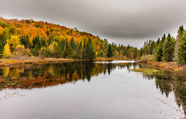 istock Falls vibrant colors, cottage country, Quebec, Canada. 1072776132
