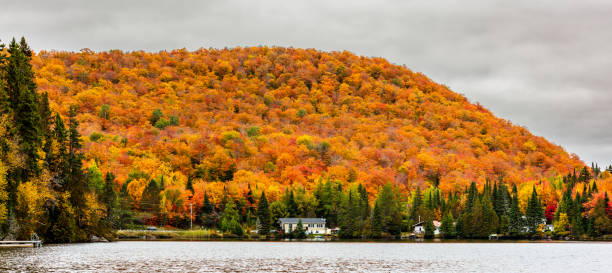 istock Falls vibrant colors, cottage country, Quebec, Canada. 1072787614