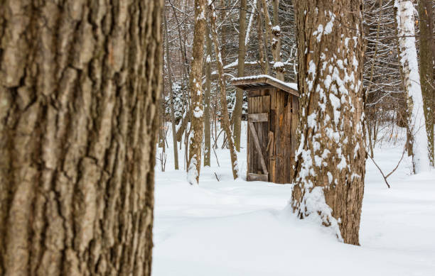 azúcar cabaña en un bosque boreal. - syrup maple tree cabin snow fotografías e imágenes de stock