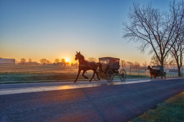 istock Amish Buggies at Sunrise 1072791412