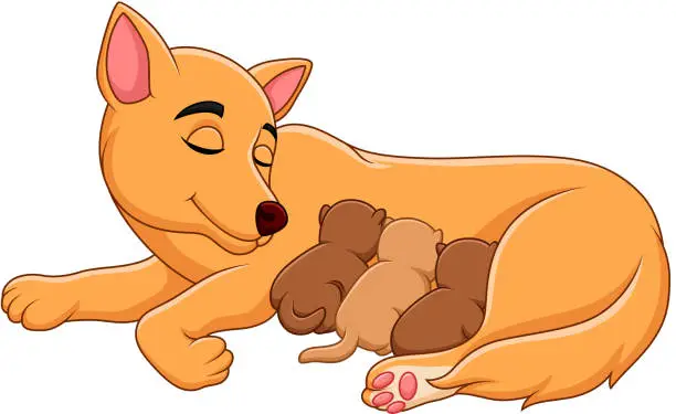 Vector illustration of Mother dog breastfeeding her puppies