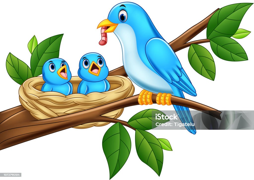 Mother Blue Bird Feeding Babies In A Nest Stock Illustration - Download  Image Now - Bird's Nest, Animal Nest, Young Bird - iStock