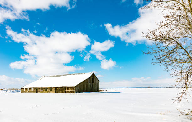 istock Barns of times gone past. 1072801826