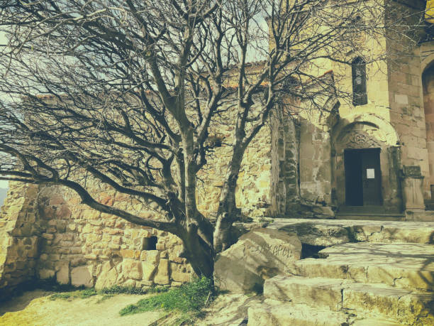 istock The old tree in the yard of  Jvari monastery near Mtskheta Georgia 1072805376