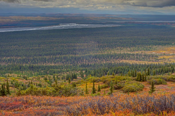 istock Fall landscape in Alaska's Denali National Park. 1072813166