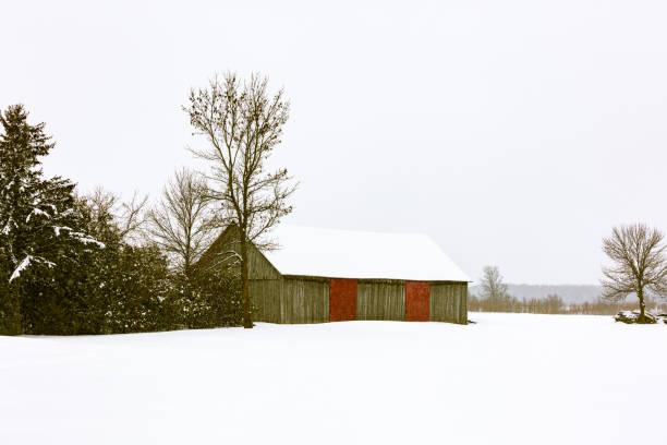 istock Barns of times gone past. 1072820768