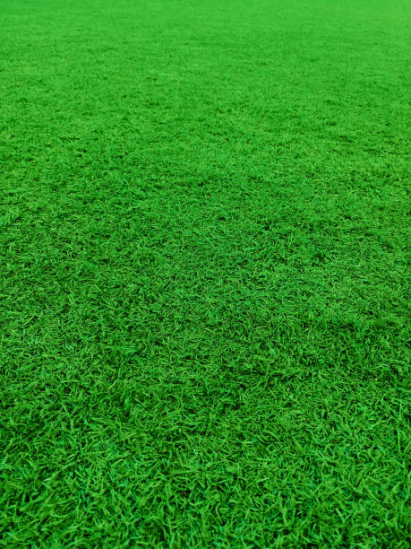 istock Football court 1072822536