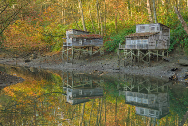 Squatters' shacks at Maplewood Flats in North Vancouver.