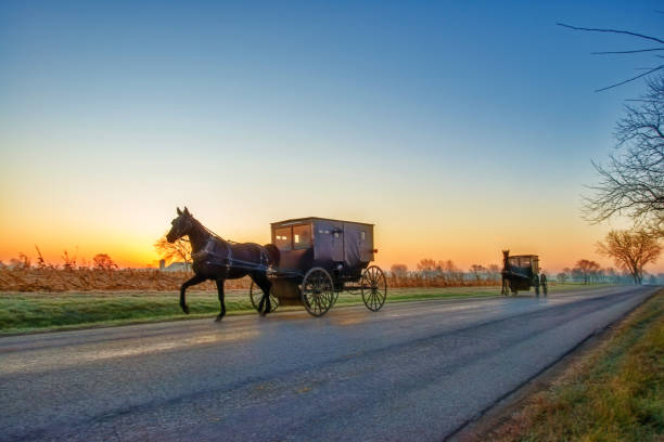 istock Two Amish Buggies at Sunrise 1072833508