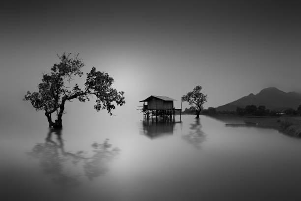 istock Iittlen house by the lake 1072838112