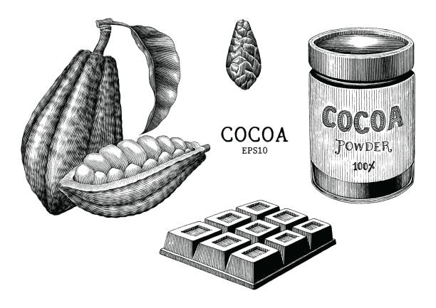 kakao bitki ve ürün el çizmek beyaz arka plan üzerinde izole vintage gravür tarzı - çikolatalı bar illüstrasyonlar stock illustrations