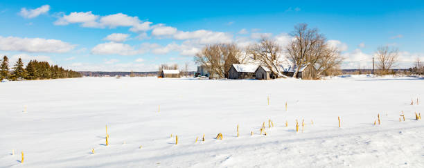 istock Barns of times gone past. 1072841886