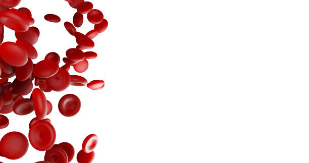 istock Red blood cells on white blank space on right side 1072852450