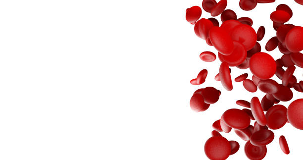 istock Red blood cells on white blank space on left side 1072853340