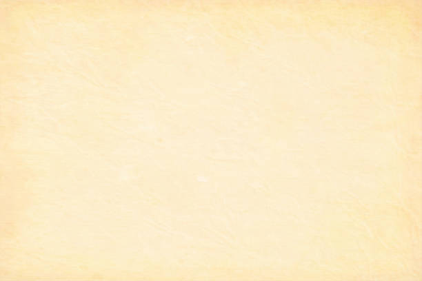 ilustrações de stock, clip art, desenhos animados e ícones de old yellowed cream beige colored cracked effect wooden, wall texture grunge vector background- horizontal - illustration - old paper mottled rectangular shape