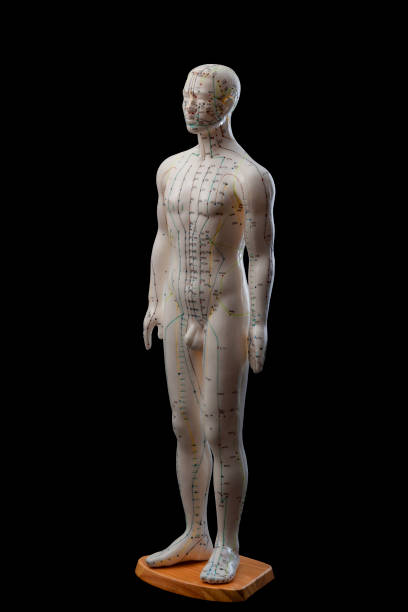istock Alternative medicine and east asian healing methods concept with full size acupuncture dummy model isolated on black background with clip path cutout 1072859692