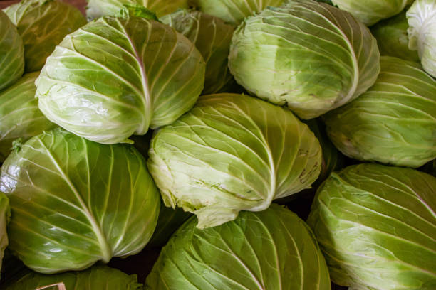 istock Group of green cabbages in fresh market 1072863614