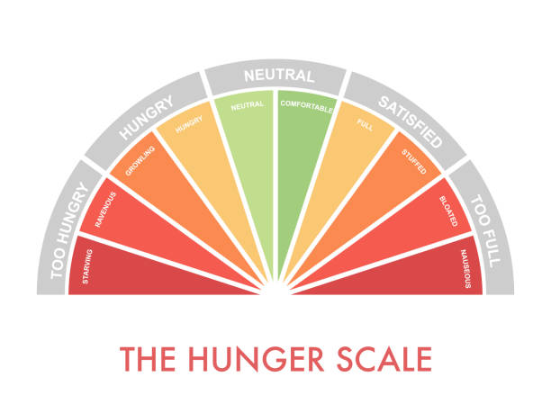 직관적이 고 늘 먹고 다이어트 제어에 대 한 기아 충만 눈금 0 ~ 10. 식욕의 수준을 평가 하 기아 단계를 나타내는 차트를 아치. 벡터 그림 클립 아트 - abundance stock illustrations