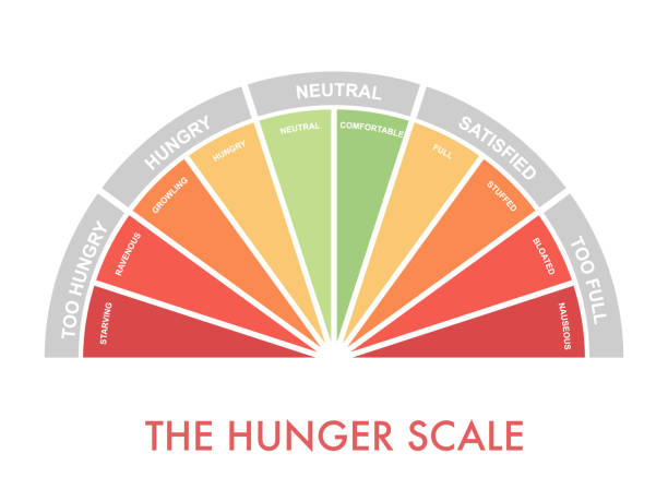 Hunger-fullness scale 0 to 10 for intuitive and mindful eating and diet control. Arch chart indicating hunger stages to evaluate level of appetite. Vector illustration clipart Hunger-fullness scale 0 to 10 for intuitive and mindful eating and diet control. Arch chart indicating hunger stages to evaluate level of appetite. Vector illustration clipart hungry stock illustrations