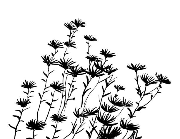 Spring Flowers bunch of wild flowers in ink drawing pen and ink stock illustrations