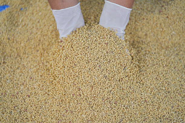 yellow fertilizer in hand